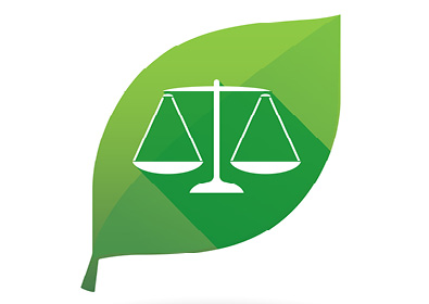 Veja as Principais Atuações no Direito Ambiental