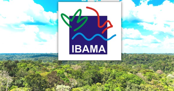 Processo Administrativo Ambiental: como proceder em casos de Aplicação de Sanções Administrativas pelo IBAMA